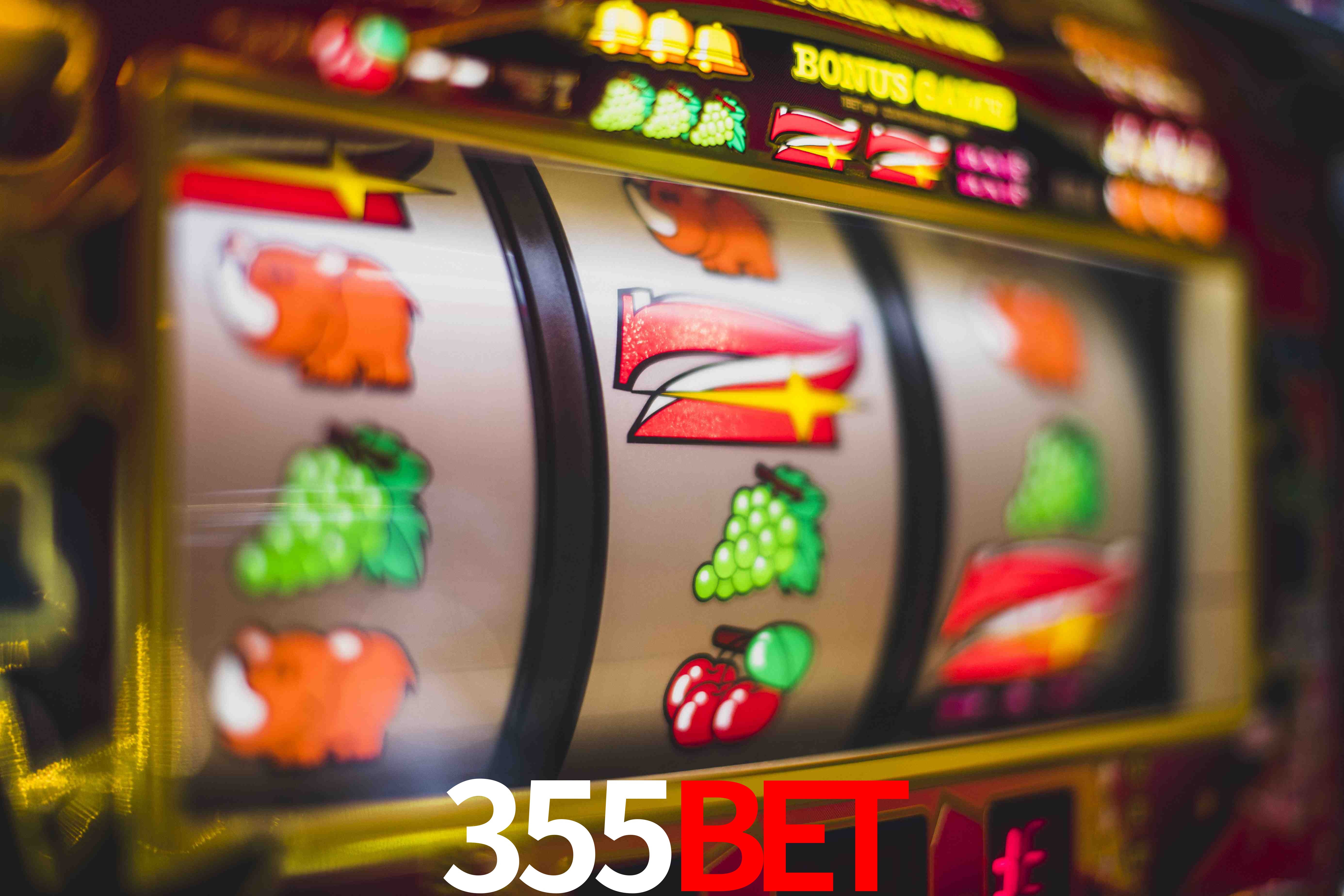 Experiência VIP 355bet